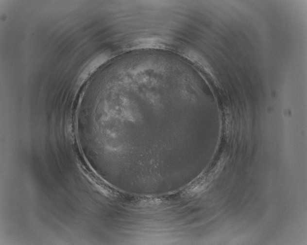 X0000076270882200610051308