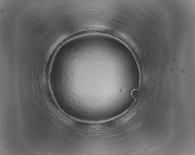 X0000076270883200610051308