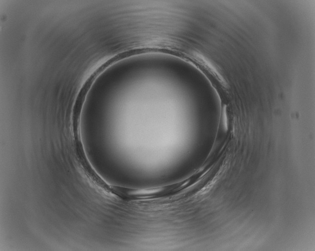 X0000076270884200610051308