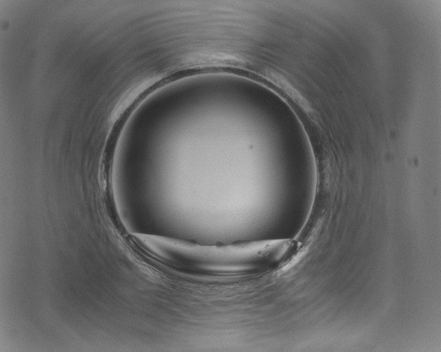 X0000076270885200610051308