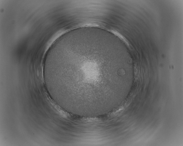 X0000076270886200610051308