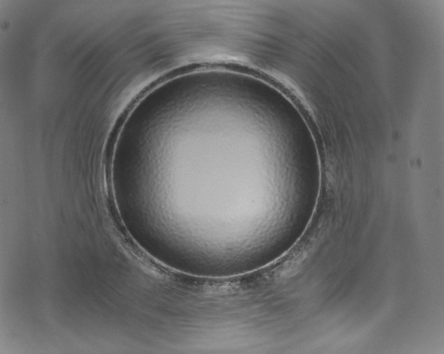 X0000076270887200610051308