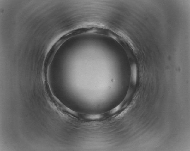 X0000076270888200610051308