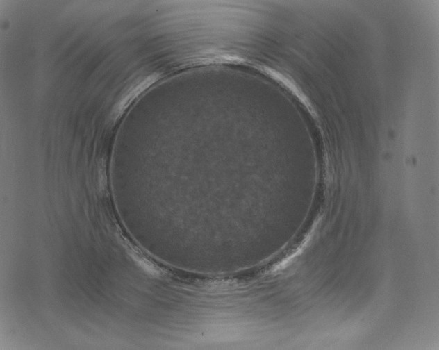 X0000076270889200610051308