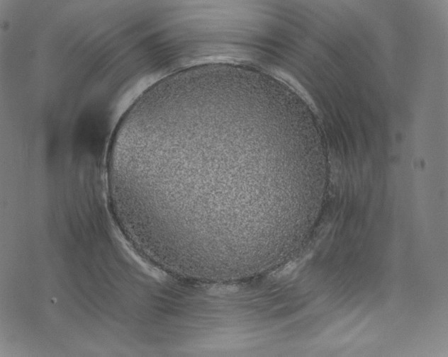 X0000076270890200610051308