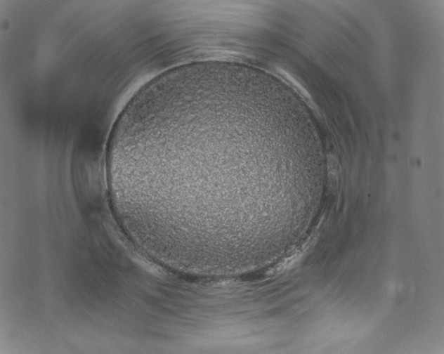 X0000076270891200610051308