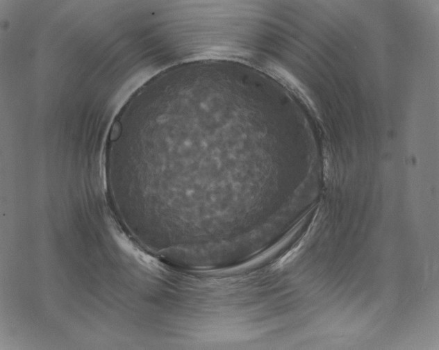 X0000076270892200610051308