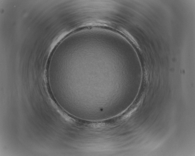 X0000076270893200610051308