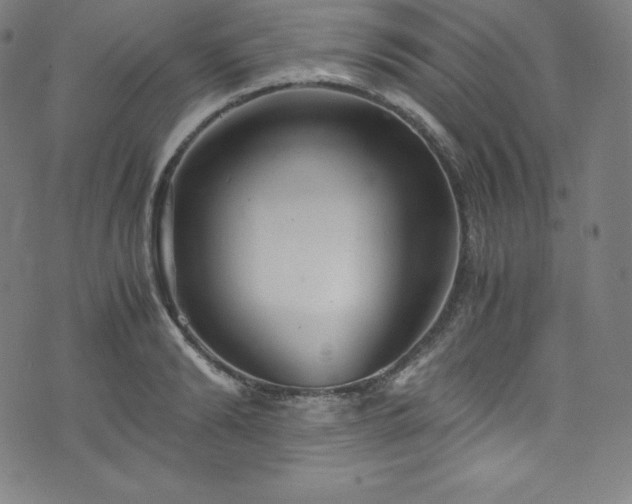 X0000076270894200610051308