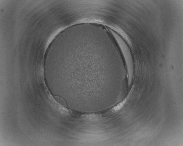 X0000076270896200610051308