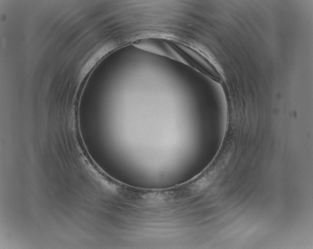 X0000076270898200610051308