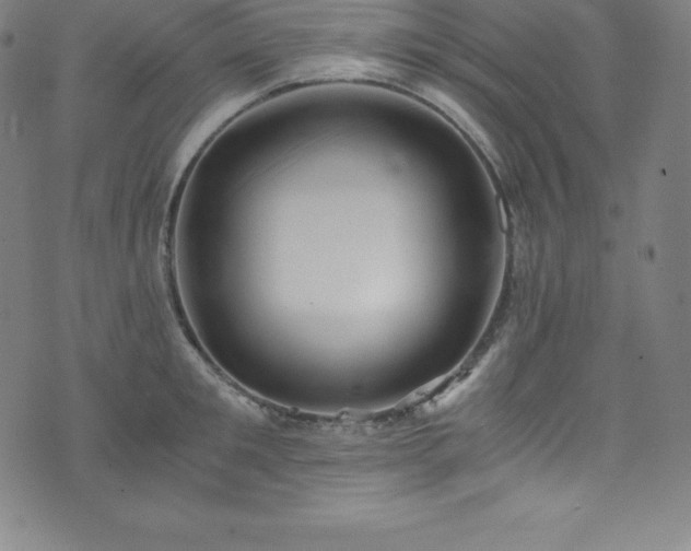 X0000076270901200610051307