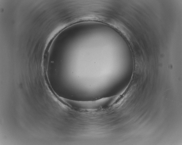 X0000076270902200610051307