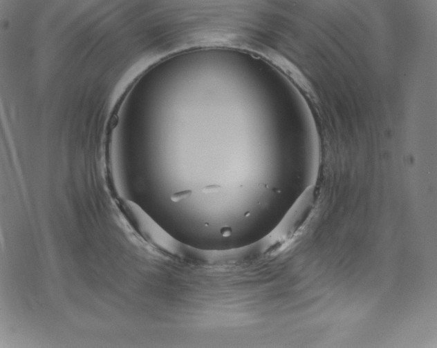 X0000076270904200610051307