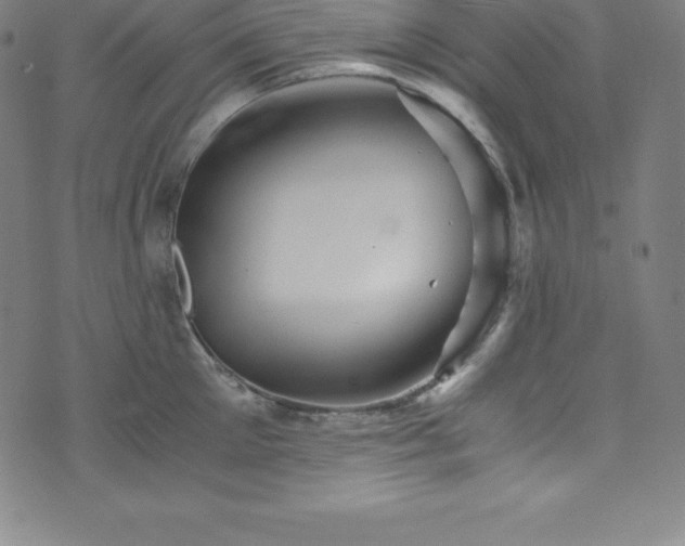 X0000076270905200610051307