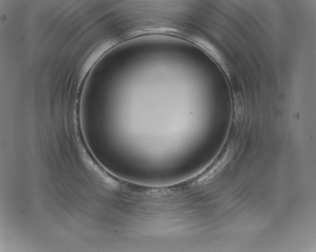 X0000076270906200610051307