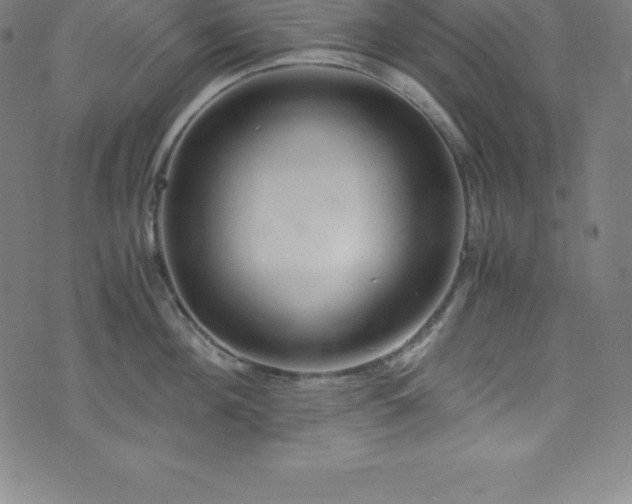 X0000076270908200610051307