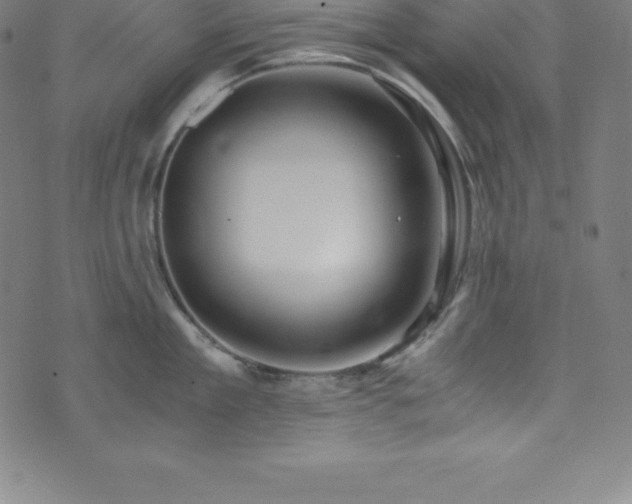 X0000076270909200610051307