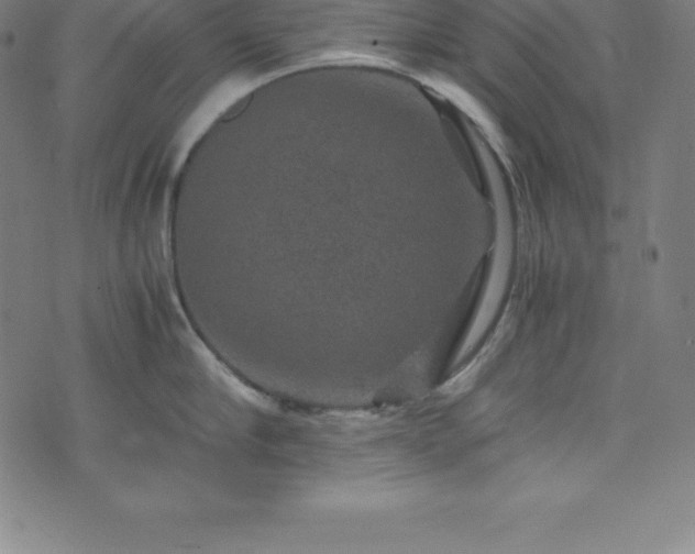 X0000076270910200610051307