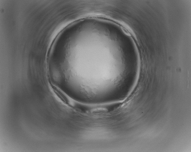 X0000076270911200610051307