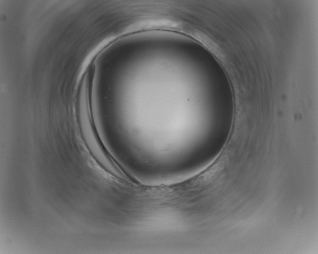 X0000076270912200610051307