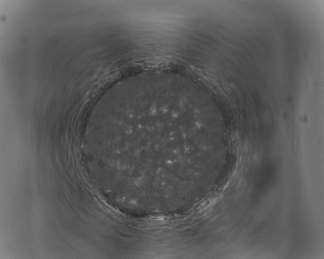 X0000076270913200610051307