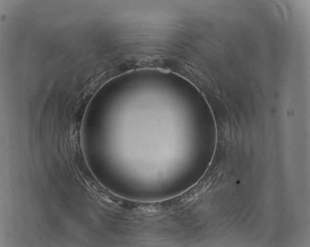 X0000076270914200610051307