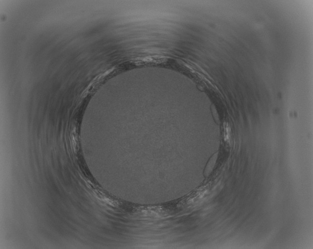 X0000076270915200610051307