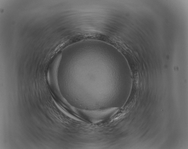 X0000076270916200610051307