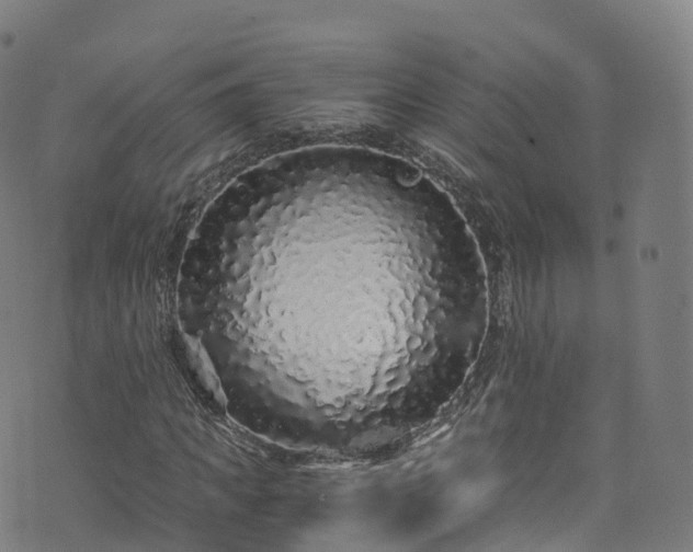 X0000076270917200610051307