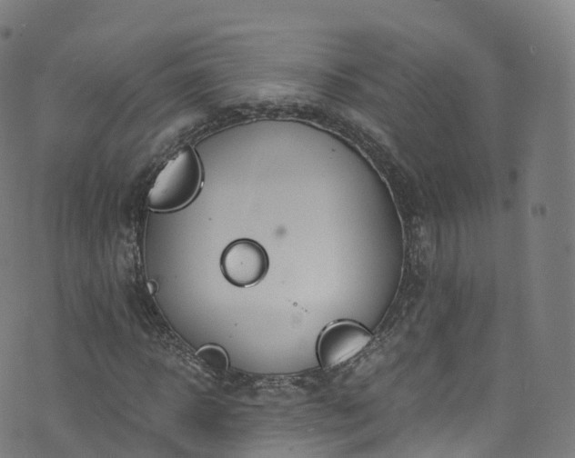 X0000076270918200610051307