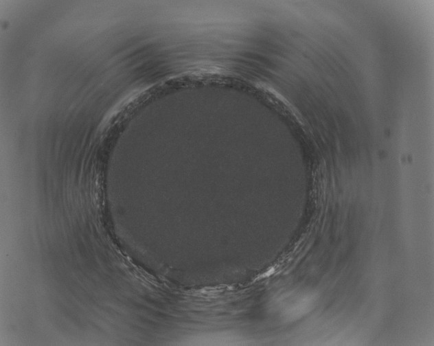 X0000076270919200610051307