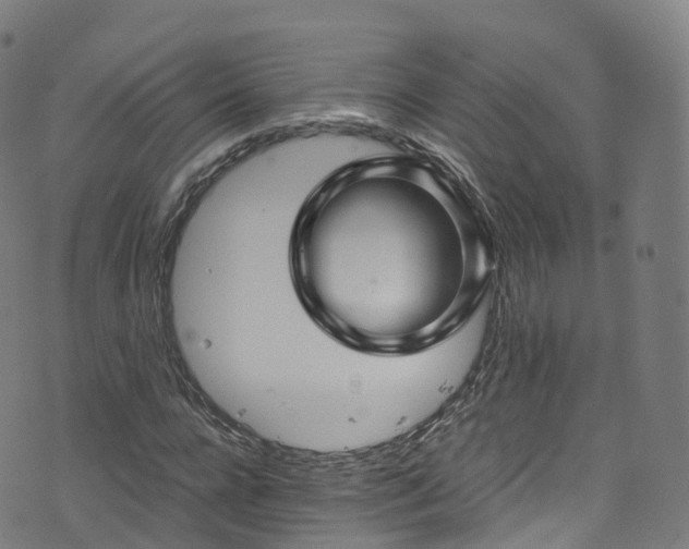 X0000076270920200610051307