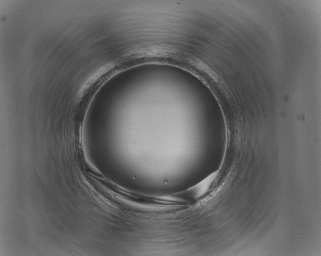 X0000076270922200610051307