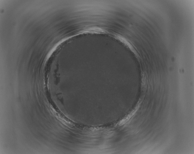 X0000076270923200610051307