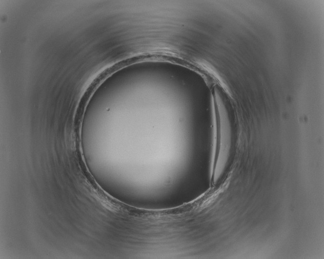 X0000076270924200610051307