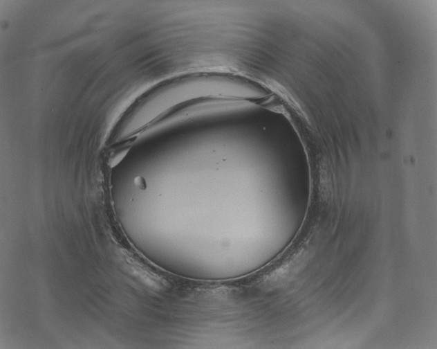 X0000076270926200610051307