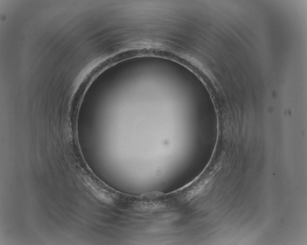 X0000076270927200610051307