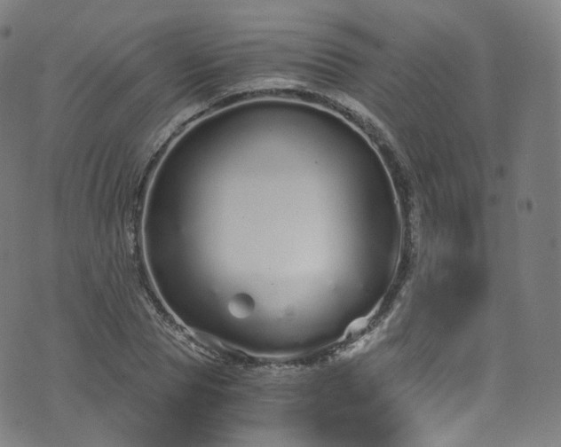 X0000076270929200610051307