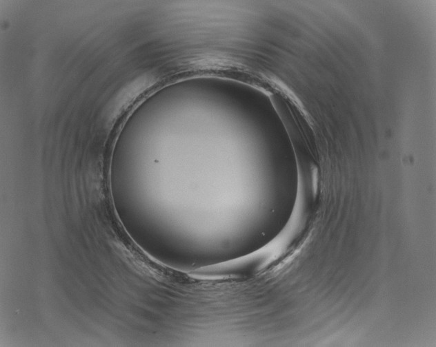 X0000076270930200610051307