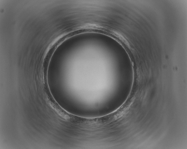 X0000076270931200610051307