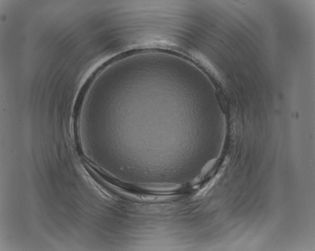 X0000076270932200610051307