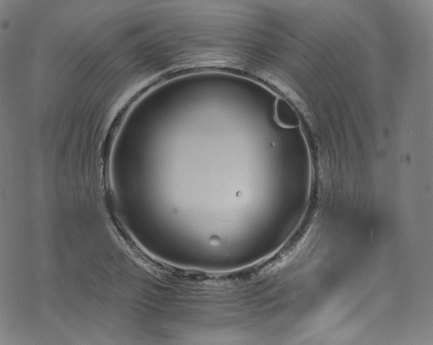 X0000076270933200610051307