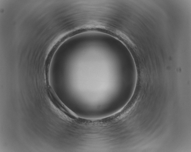 X0000076270934200610051307