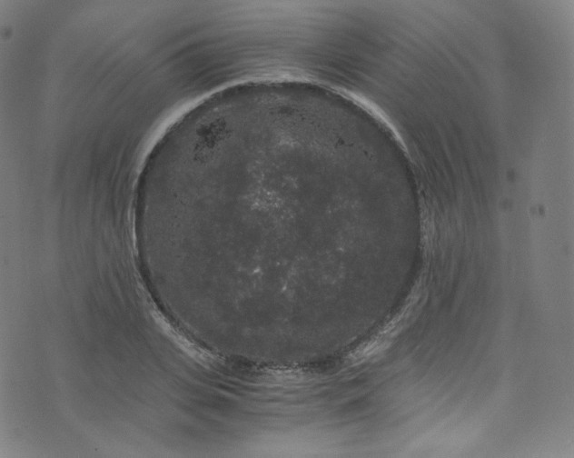 X0000076270935200610051307