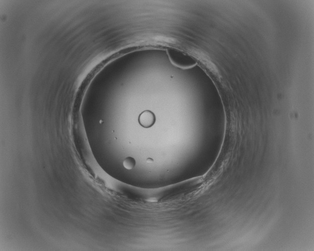 X0000076270936200610051307