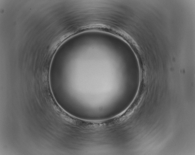 X0000076270937200610051307