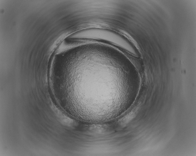 X0000076270938200610051307