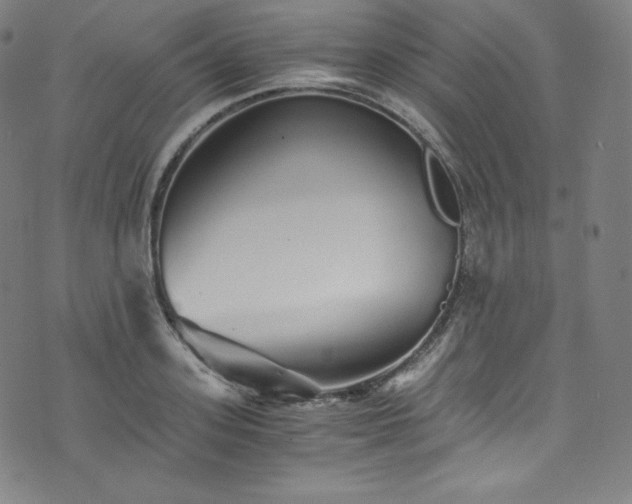 X0000076270939200610051307