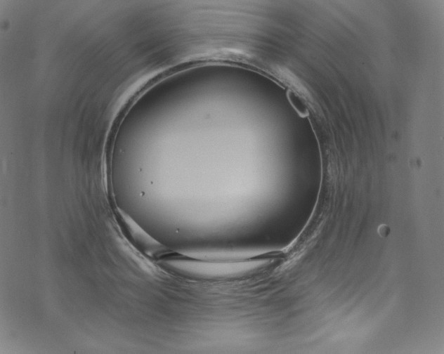 X0000076270940200610051307